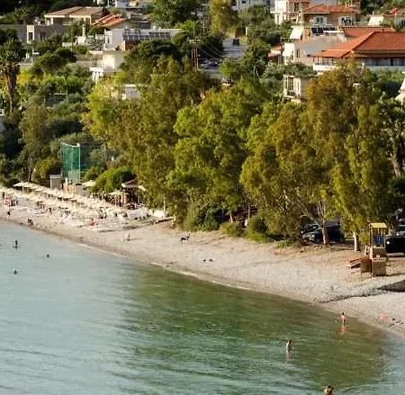 Seaview Terrace Haven-perfect Location By The Sea